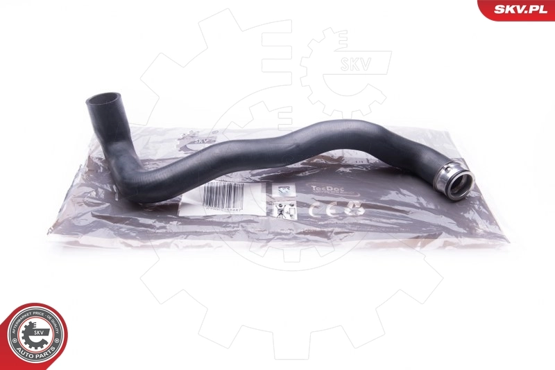 Radiator Hose